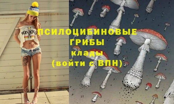 мяу мяу мука Балабаново