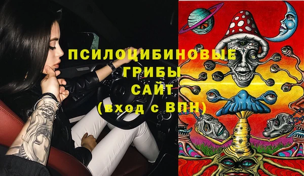 крисы Балахна
