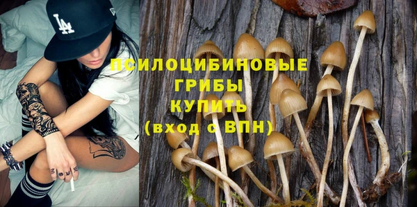 мяу мяу мука Балабаново