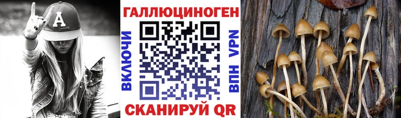 Галлюциногенные грибы ЛСД Усмань
